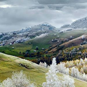 Meet your Posher, Lynn